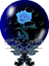 Bluerose in globe