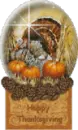 Thanksgiving globe