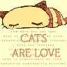 san-x cat is lurve
