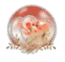Roses in globe