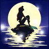little mermaid
