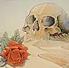 Skulls and roses 