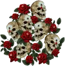 Skulls N' Roses