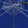 Spider Web