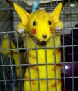 pikachu mouse