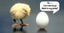 The chicken or the egg