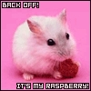 raspberry