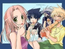 Team 7