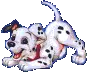Dalmation~