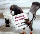 poop lessons