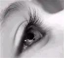 eye