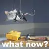 what now?