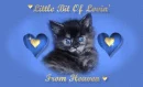 Little bit of loving from heaven
