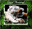 good morning