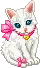 cute cat