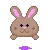 choco bunny