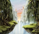 jungle