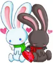 shy valentine bunny