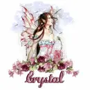 Crystal Fairy Rose