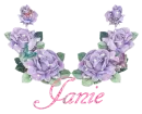 Janie Purple Roses