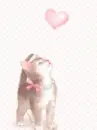 LIL KITTY