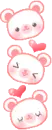 cute bears