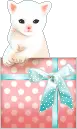 kitty on a pink box