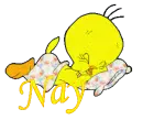 Nay