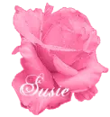 Susie