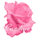 Candance
