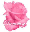 Tammy