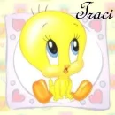 Traci