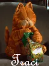 Traci