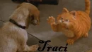 Traci