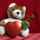 teddy in love