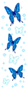 blue butterflys
