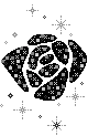 black rose