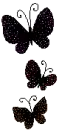 black butterflys