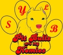 sylb pit bull