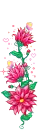 pink flowers 