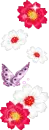 purple butterfly