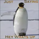 Just saying whats up