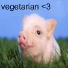 vegetarian