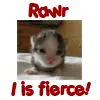 RAWR, I IS FIERCe