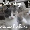 help stop animal abuse