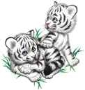 cute
