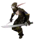 Nightelf Rogue
