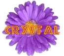 Crystal inside purple daisy 