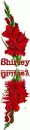 Shirley