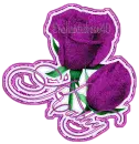 DOUBLE ROSES